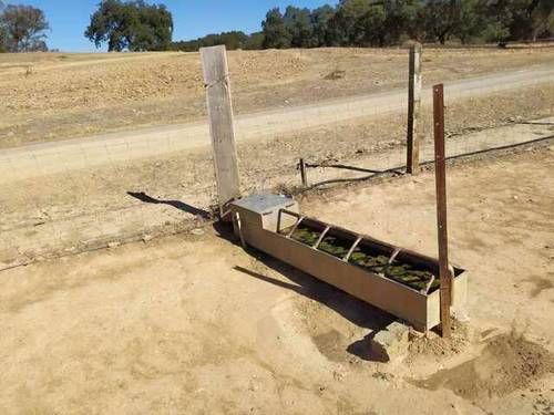 imagen 7 de Venta de finca de gran extensión en Puebla de los Infantes