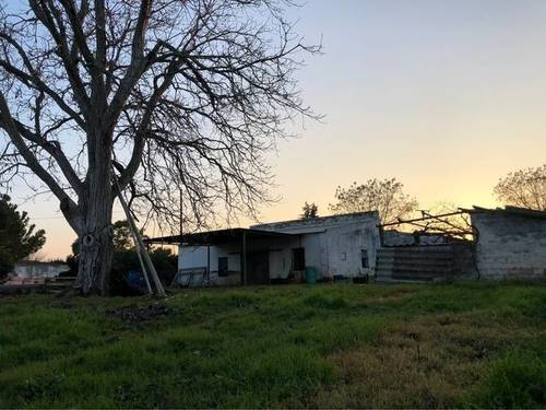 imagen 2 de Venta de finca con casa y bien ubicada en Sanlucar la Mayor