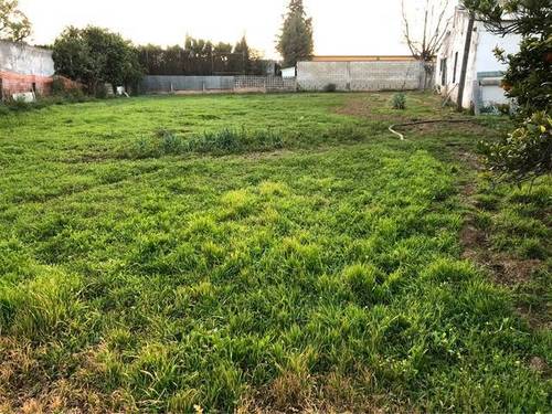 imagen 4 de Venta de finca con casa y bien ubicada en Sanlucar la Mayor
