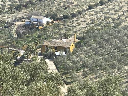imagen 1 de Venta de finca con caserío y olivar en Osuna