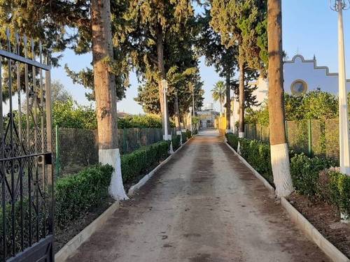 imagen 1 de Venta de bonita finca con chalet y plaza de toros en Utrera