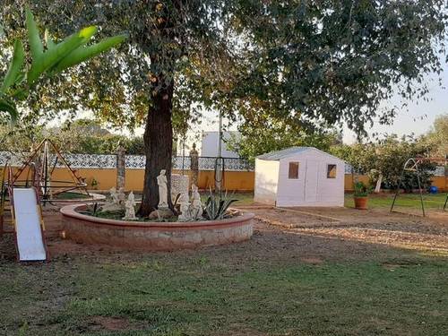 imagen 7 de Venta de bonita finca con chalet y plaza de toros en Utrera