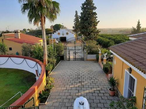 imagen 4 de Venta de bonita finca con chalet y plaza de toros en Utrera