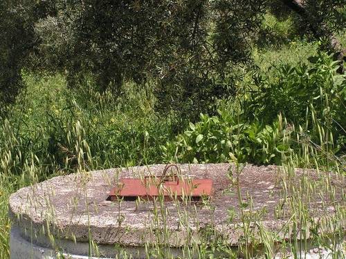 imagen 1 de Venta de finca de olivar en Pruna (Sevilla)
