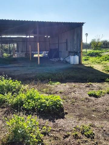 imagen 4 de Venta de finca con dos naves en Pilas