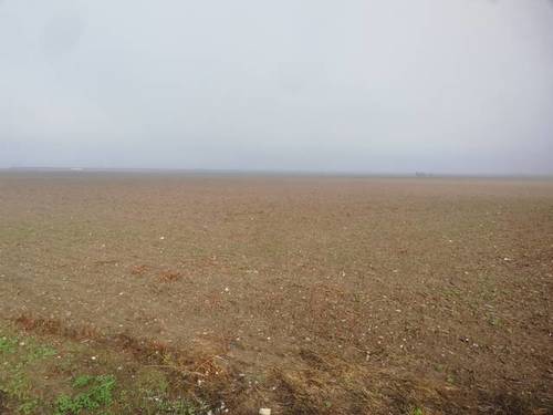imagen 1 de Venta de finca de regadío en Utrera (Sevilla)