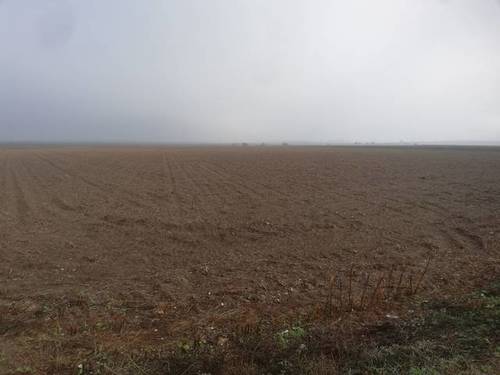 imagen 1 de Venta de finca de regadío en Utrera (Sevilla)