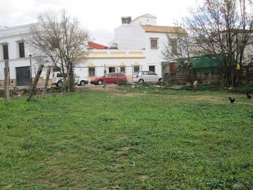 imagen 1 de Venta de finca de regadío bien comunicada en Carmona