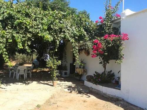 imagen 1 de Venta de finca con casa, nave y olivar en Cantillana