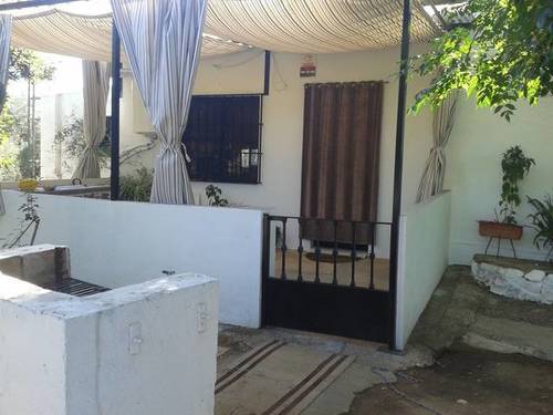 imagen 2 de Venta de finca con casa, nave y olivar en Cantillana