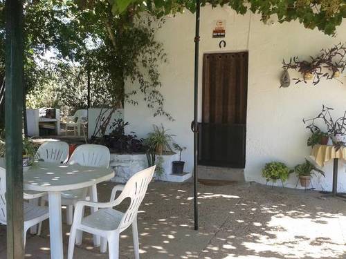 imagen 5 de Venta de finca con casa, nave y olivar en Cantillana