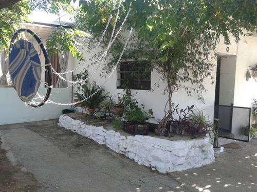 imagen 3 de Venta de finca con casa, nave y olivar en Cantillana