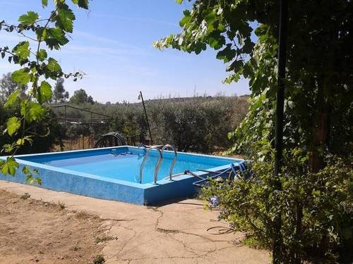 imagen 7 de Venta de finca con casa, nave y olivar en Cantillana
