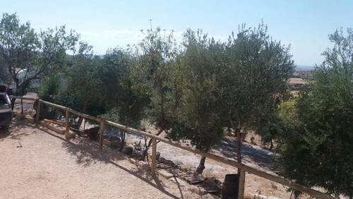 imagen 4 de Venta de finca vallada con casa