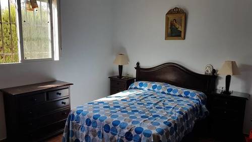 imagen 4 de Venta de parcela con casa y frutales en Pilas
