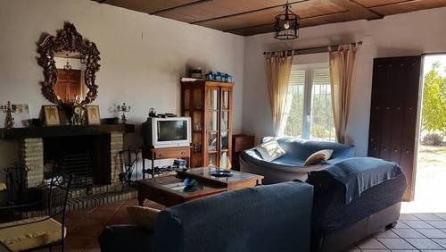 imagen 3 de Venta de parcela con casa y frutales en Pilas