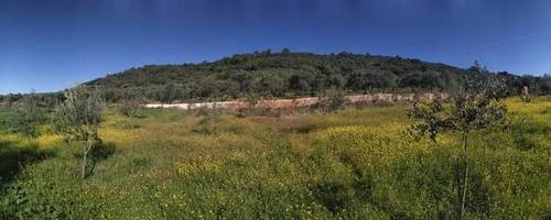 imagen 1 de Venta de finca con nave en El Pedroso