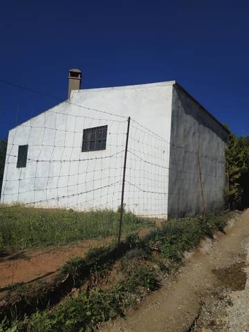 imagen 3 de Venta de finca con nave en El Pedroso