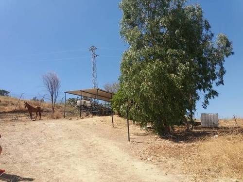 imagen 1 de Venta de finca con CEA para caballos