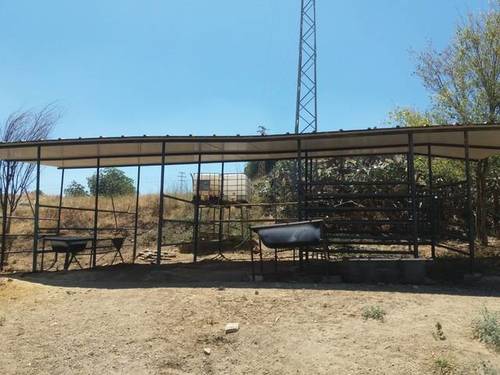 imagen 1 de Venta de finca con CEA para caballos