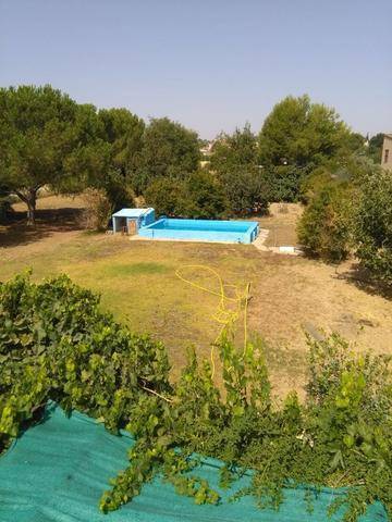 imagen 5 de Venta de parcela con casa en Sanlucar la Mayor