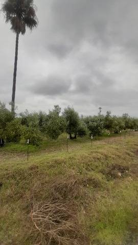 imagen 1 de Venta de terreno con casa y frutales