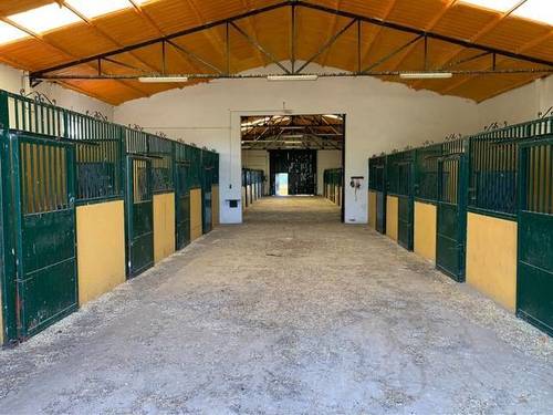 imagen 1 de Venta de finca ecuestre
