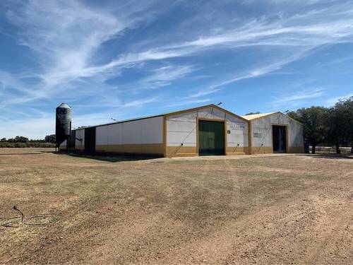 imagen 5 de Venta de finca ecuestre