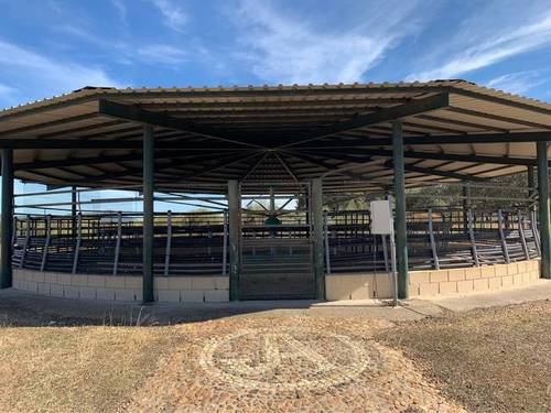 imagen 2 de Venta de finca ecuestre