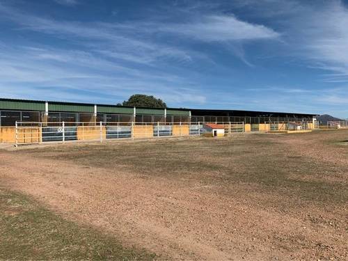 imagen 7 de Venta de finca ecuestre