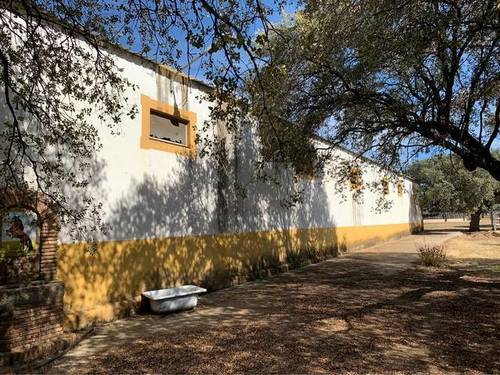 imagen 6 de Venta de finca ecuestre