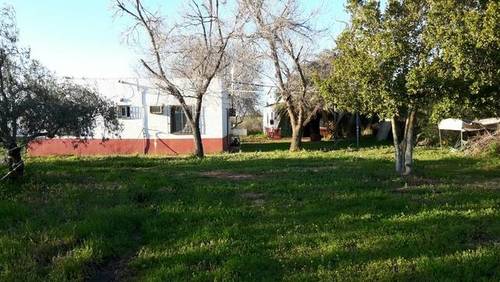 imagen 1 de Venta de olivar con casa, nave y tractor con aperos en Carmona