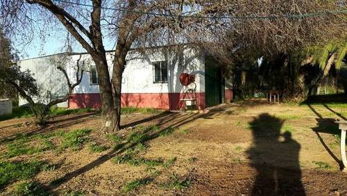 imagen 3 de Venta de olivar con casa, nave y tractor con aperos en Carmona