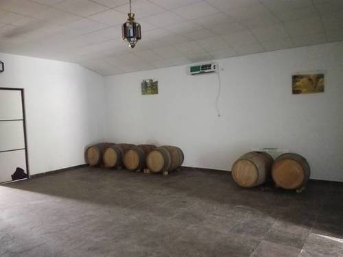 imagen 4 de Venta de finca con nave en Alanis (Sevilla)