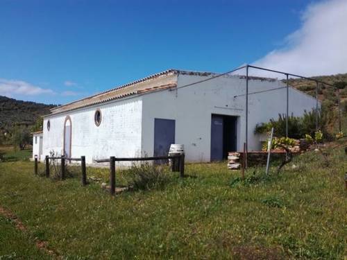imagen 3 de Venta de finca con nave en Alanis (Sevilla)