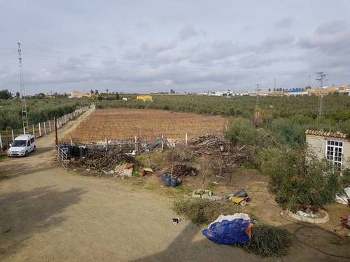 imagen 5 de Venta de finca con vivienda y piscina en Pilas