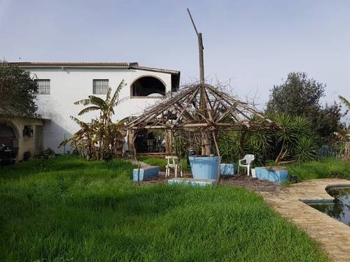 imagen 1 de Venta de finca con vivienda y piscina en Pilas