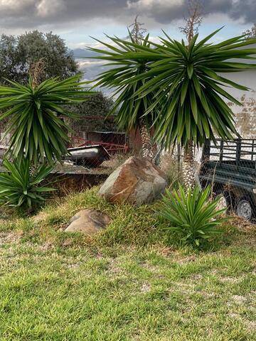 imagen 3 de Venta de finca con cuadras para caballos en Castilblanco de los Arroyos
