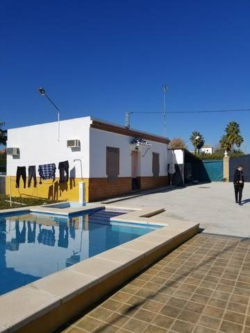 imagen 5 de Venta de finca con vivienda en Paradas (Sevilla)