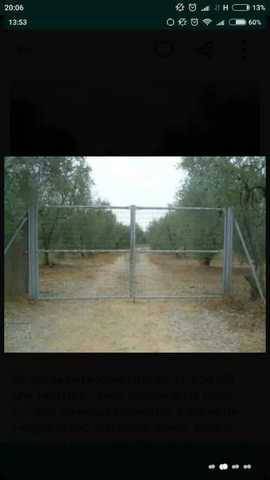 imagen 1 de Venta de olivar con riego en Pilas