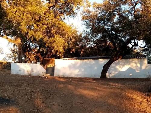 imagen 1 de Venta de bonita finca ideal para ganado en Sevilla