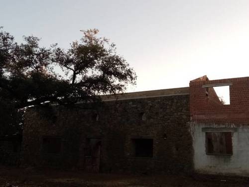 imagen 4 de Venta de bonita finca ideal para ganado en Sevilla