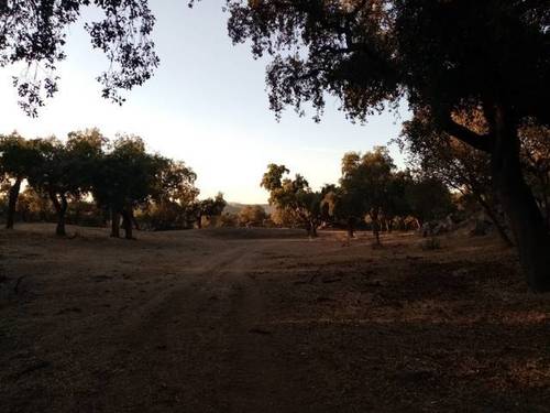 imagen 1 de Venta de bonita finca ideal para ganado en Sevilla
