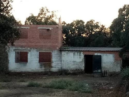 imagen 3 de Venta de bonita finca ideal para ganado en Sevilla