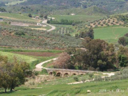 imagen 1 de Venta de finca con casa en plena naturaleza (Villanueva de San Juan)