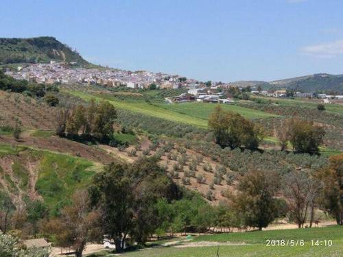 imagen 2 de Venta de finca con casa en plena naturaleza (Villanueva de San Juan)