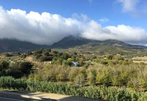 imagen 1 de Venta de finca con construcciones en Algamitas (Sevilla)