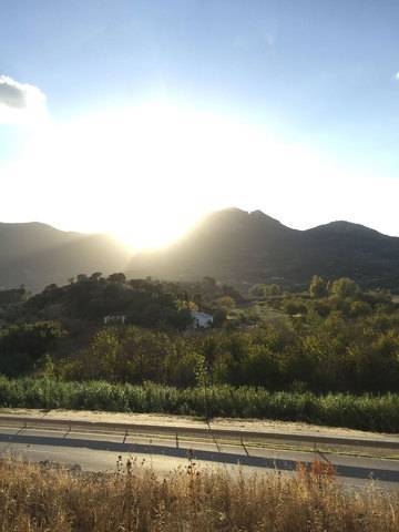 imagen 2 de Venta de finca con construcciones en Algamitas (Sevilla)