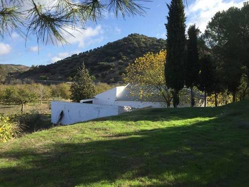 imagen 3 de Venta de finca con construcciones en Algamitas (Sevilla)