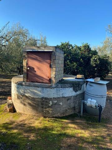 imagen 3 de Venta de finca rústica con Olivos en Sanlúcar la Mayor (Sevilla)
